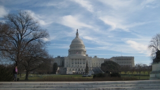 Das Capitol