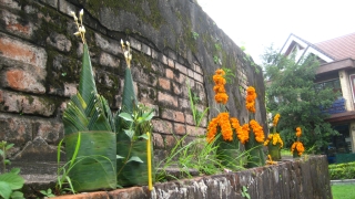 Blaetter- und Blumenschmuck auf That Dam