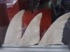 Haifischflossen in chinesischem Restaurant
