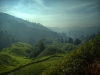 HDR-Aufnahme der Tee-Plantagen bei Tanah Rata