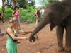 Christin fuettert sieben Jahre alten Elefanten