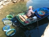 Fischhaendlerin in der Halong-Bucht