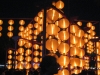 Laternen beim Mid-Autumn Lantern Carnival