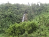Dschungel und Wasserfall
