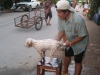 Hund in einer Strasse in Luang Prabang