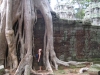 Christin und Baum in Ta Phrom