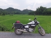 Moped und Reis