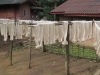 Baumwollfaeden an einer Waescheleine in einem Dorf bei Luang Namtha