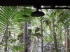Dschungeldusche im Platypus Bushcamp